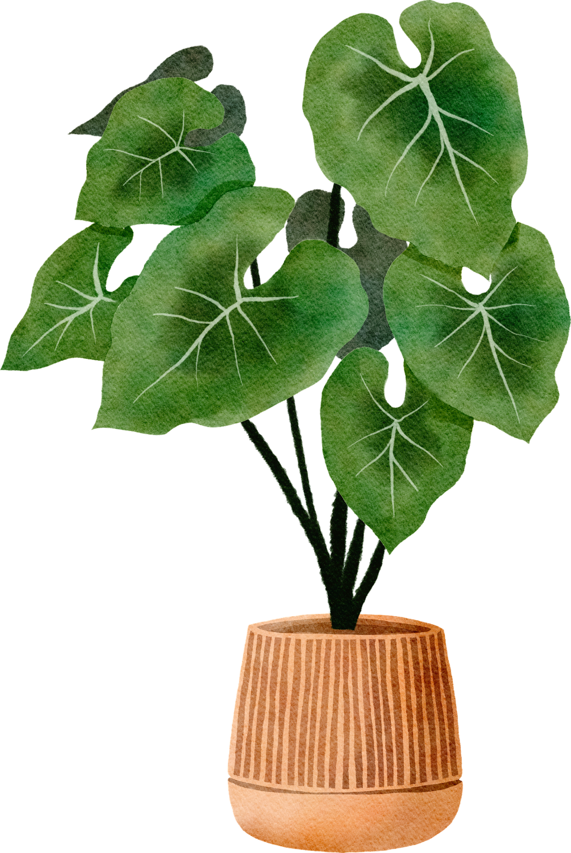 plant pot - green leaves